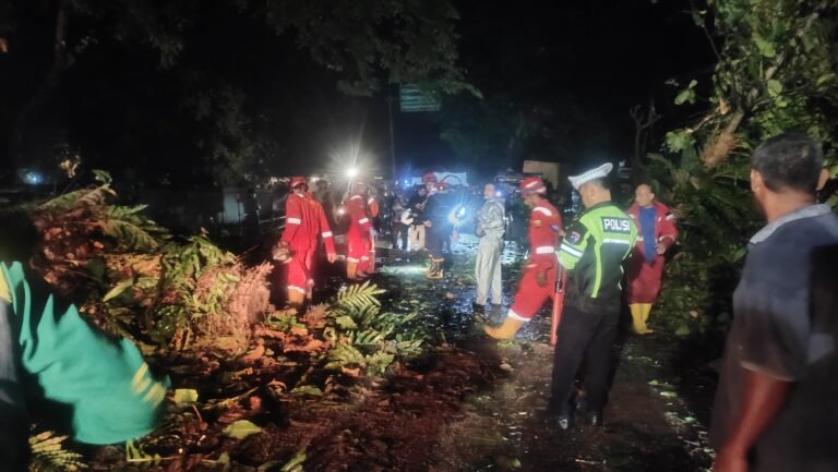 Pohon Besar Tumbang di Cikakak Sukabumi, Jalur Nasional Menuju Banten Sempat Lumpuh