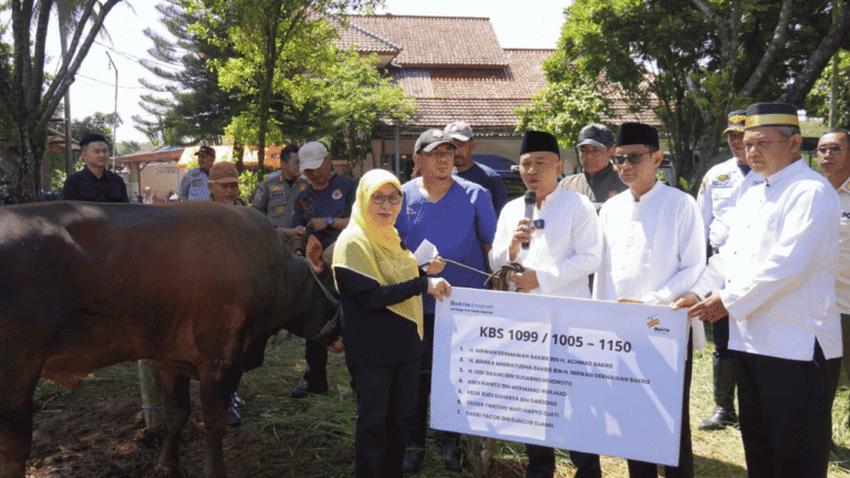 Momentum Idul Adha, Pemkab Sukabumi Terima Bantuan Kurban dari Laznas Bakrie Amanah untuk Masyarakat