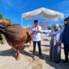 Sapi kurban Bantuan Kemasyarakatan (Banmas) Presiden Prabowo Subianto disembelih di pondok pesantren Miftaahussa'adah, Cigunung, Kota Sukabumi.