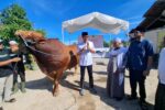 Sapi kurban Bantuan Kemasyarakatan (Banmas) Presiden Prabowo Subianto disembelih di pondok pesantren Miftaahussa'adah, Cigunung, Kota Sukabumi.