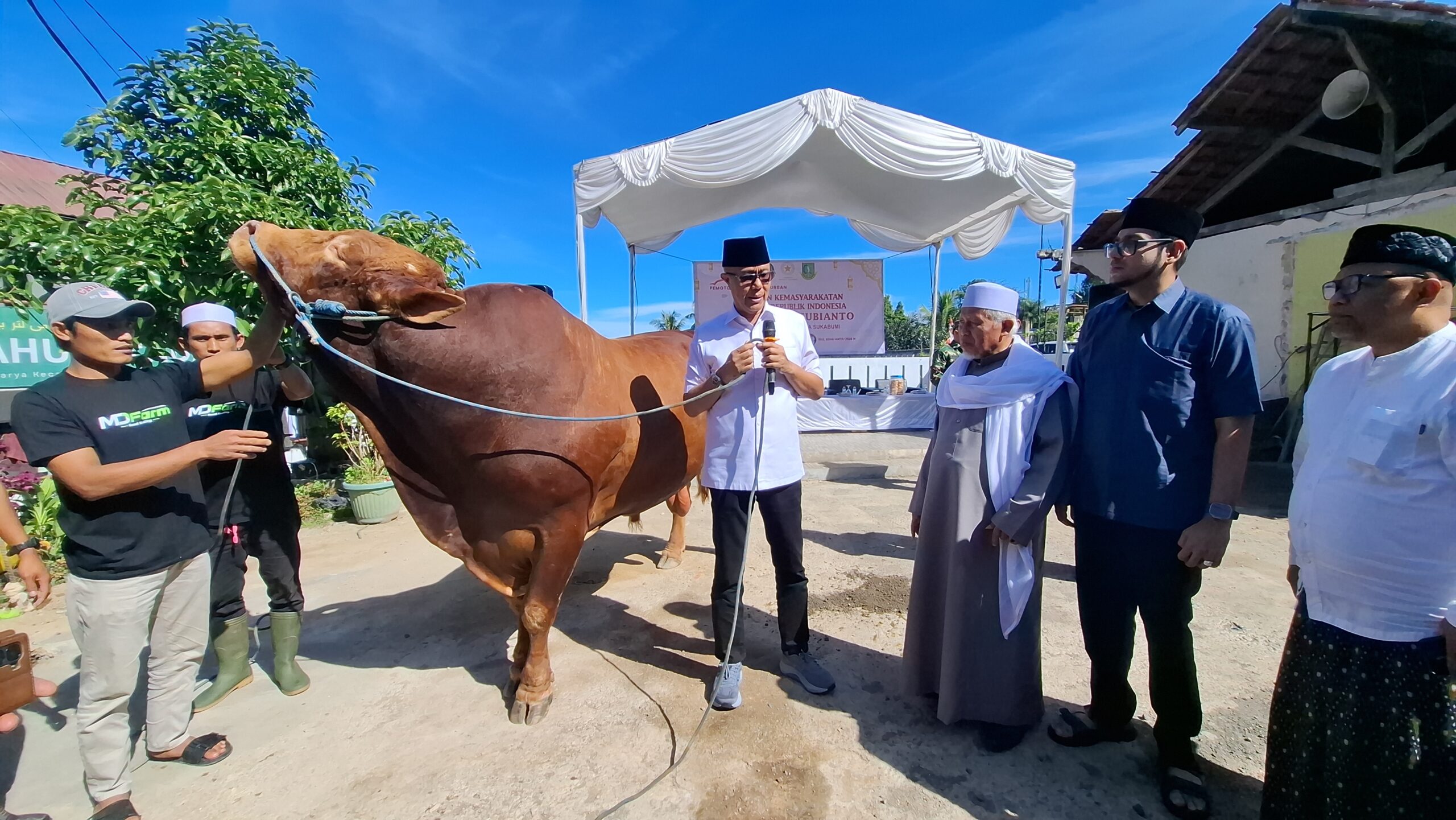 Sapi kurban Bantuan Kemasyarakatan (Banmas) Presiden Prabowo Subianto disembelih di pondok pesantren Miftaahussa'adah, Cigunung, Kota Sukabumi.