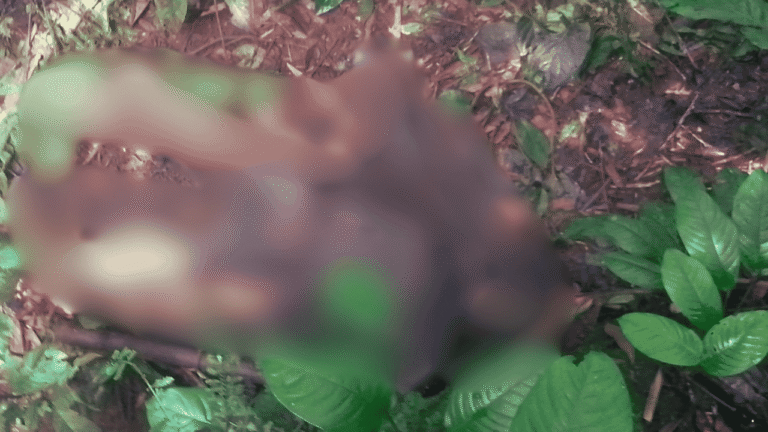 Geger Penemuan Mayat Pria Tanpa Identitas di Kawasan Hutan Gunung Gede Pangrango Sukabumi