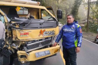Truk