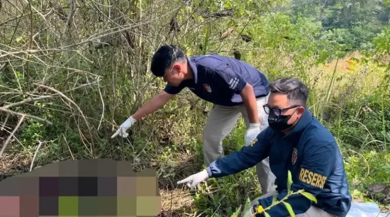 Hasil Autopsi Pastikan Kerangka Manusia di Kebun Jati Sagaranten Sukabumi Adalah Perempuan Dewasa