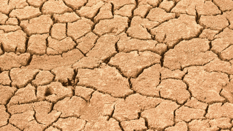 Waspada El Nino Kuat 2026, BMKG Ungkap Sejumlah Risiko yang Perlu Diantisipasi Masyarakat