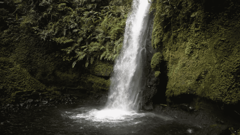 Pesona Curug Sawer Situ Gunung Sukabumi, Perpaduan Air Terjun dan Hutan Pegunungan