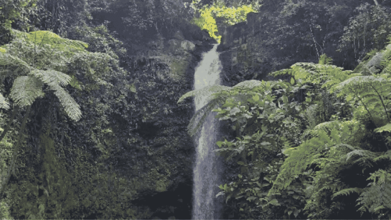 Pesona Curug Sentral Sukabumi, Surga Tersembunyi Cocok untuk Healing dan Fotografi Alam