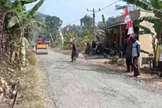 Dana desa