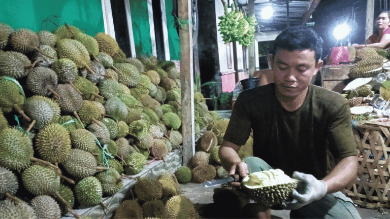 Musim Panen Durian Cikakak Melimpah, Petani Berharap Pemerintah Sukabumi Gelar Kembali Festival