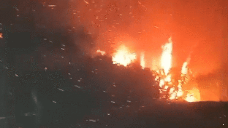 Kebakaran Alang-alang di Sukatani Sukabumi, Diduga Akibat Pembakaran Lahan