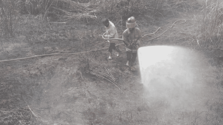 Kebakaran Lahan di Ciracap, Damkar Sukabumi Bergerak Cepat Padamkan Api