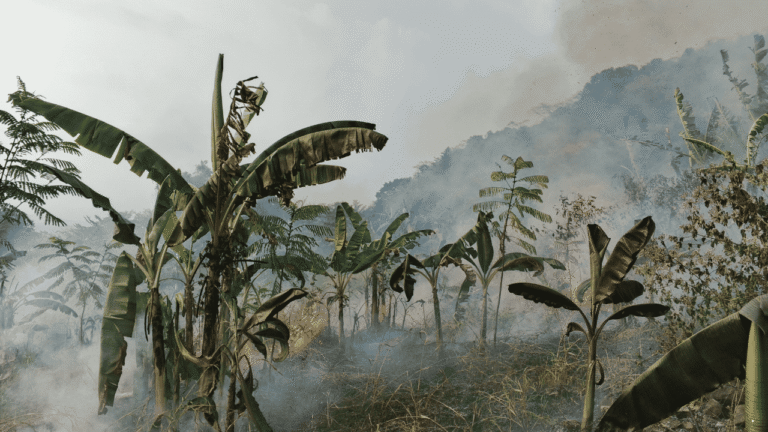 Lahan Kering di Batusapi Palabuhanratu Terbakar, Kepulan Asap Terlihat dari Sekitar Gunung Jayanti