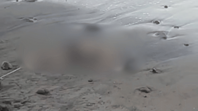 Geger Mayat Perempuan Bertanktop Hitam Ditemukan di Pantai Karanghawu Sukabumi