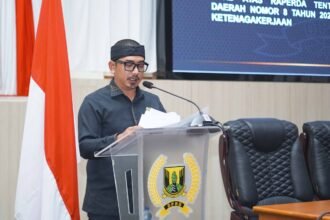 PDIP penyertaan modal