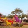 Plara Fest