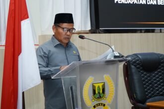 Anang Janur PDIP