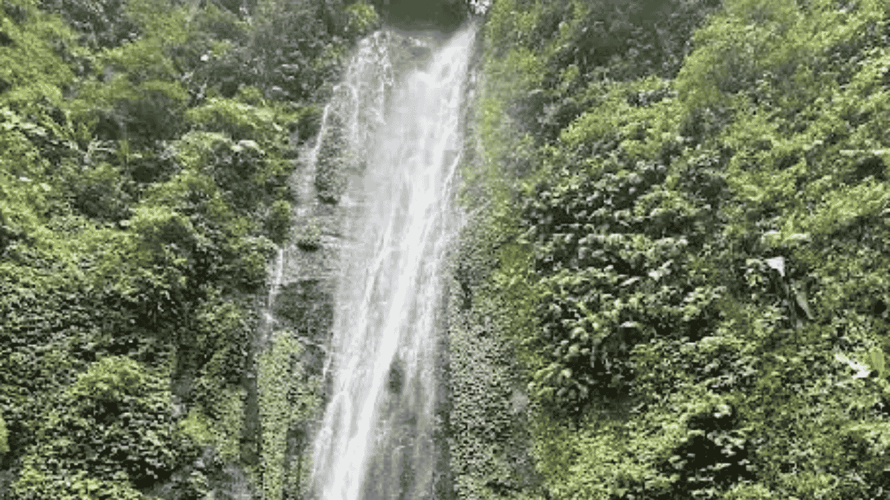 Curug Cibeureum Sukabumi, Pesona Air Terjun di Tengah Hutan Pegunungan