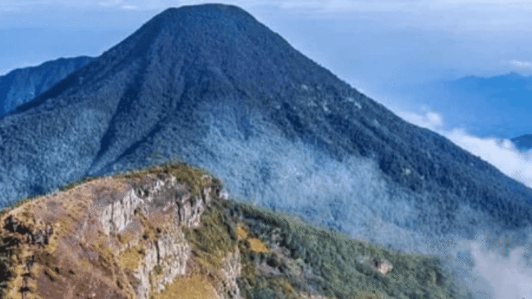 Petugas TNGGP Diduga Jadi Korban Penganiayaan, Pos SIMAKSI Gunung Putri Dirusak