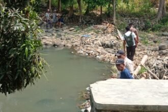Petani di Palabuhanratu Bertahan di Tengah Irigasi Bocor, Sawah Terancam Tak Produktif