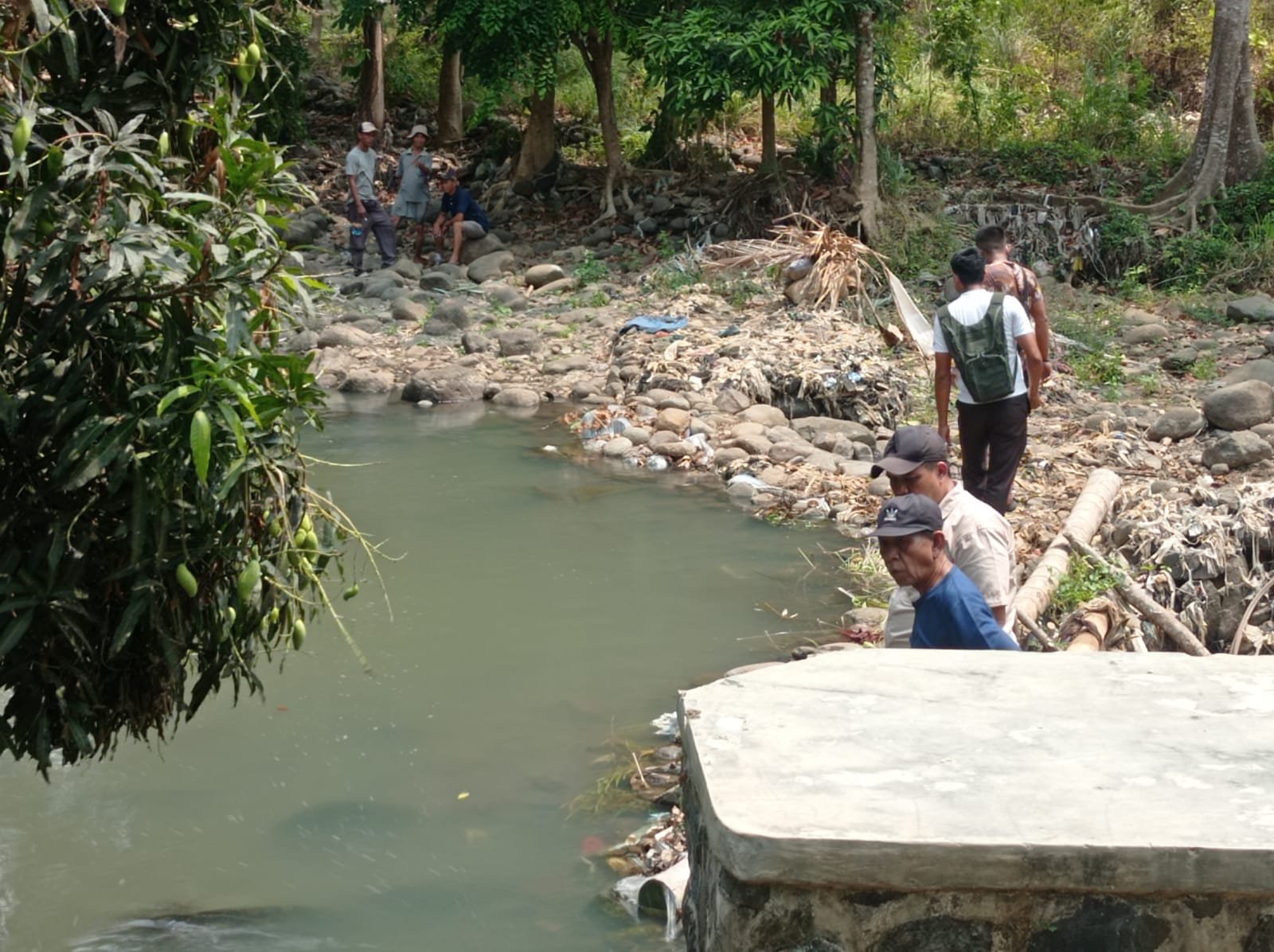 Petani di Palabuhanratu Bertahan di Tengah Irigasi Bocor, Sawah Terancam Tak Produktif