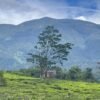 Punya Pesona Pegunungan hingga Lahan Subur, Kecamatan Sukabumi Bidik Pariwisata dan Pertanian