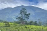 Punya Pesona Pegunungan hingga Lahan Subur, Kecamatan Sukabumi Bidik Pariwisata dan Pertanian