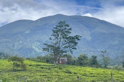 Punya Pesona Pegunungan hingga Lahan Subur, Kecamatan Sukabumi Bidik Pariwisata dan Pertanian