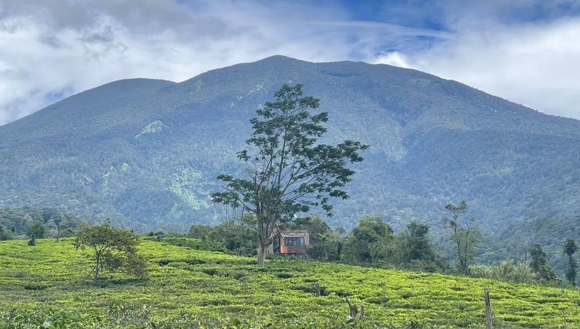 Punya Pesona Pegunungan hingga Lahan Subur, Kecamatan Sukabumi Bidik Pariwisata dan Pertanian