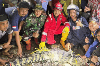 Buaya Sungai Cimandiri Sukabumi Terjerat Jaring, Warga Sebut Masih Ada Satu Ekor Lagi