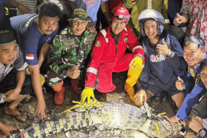 Buaya Sungai Cimandiri Sukabumi Terjerat Jaring, Warga Sebut Masih Ada Satu Ekor Lagi