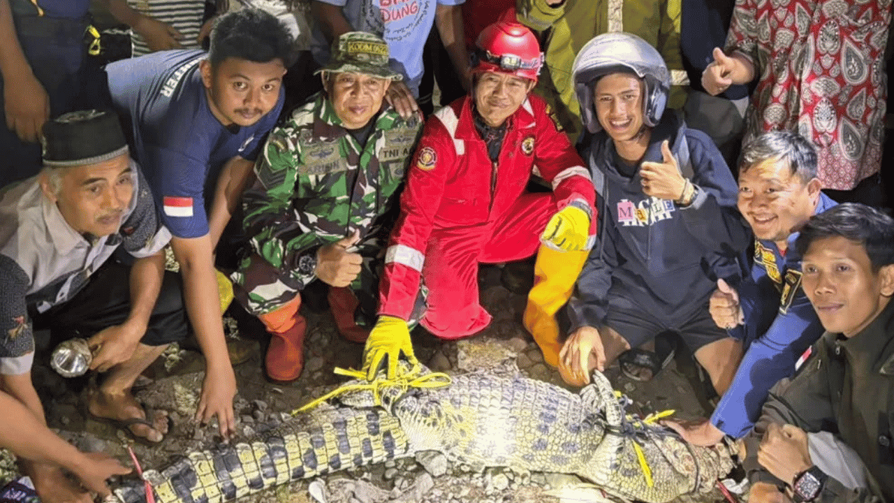 Buaya Sungai Cimandiri Sukabumi Terjerat Jaring, Warga Sebut Masih Ada Satu Ekor Lagi