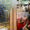Ular Sanca 3 Meter Berkeliaran di Belakang Warung Dekat RSUD Palabuhanratu Sukabumi, Damkar Lakukan Evakuasi
