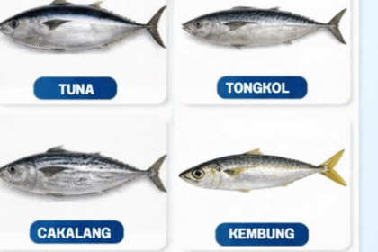 Diskan Sukabumi Edukasi Masyarakat soal Histamin pada Ikan, Kenali Gejala dan Cara Pencegahannya