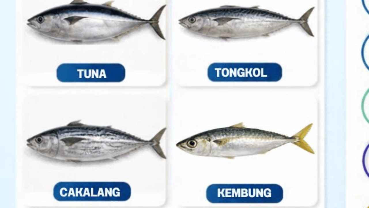 Diskan Sukabumi Edukasi Masyarakat soal Histamin pada Ikan, Kenali Gejala dan Cara Pencegahannya