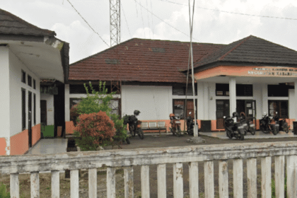Sayuran Jadi Potensi Desa Mekarjaya Kabandungan Sukabumi, Pengembangan Diarahkan hingga Pengolahan dan Pemasaran