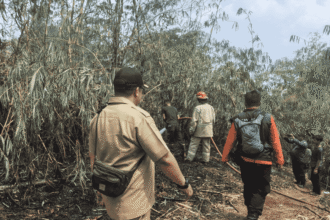 Karhutla di Sukabumi Capai 86 Kejadian sejak September-Oktober 2026, Cibadak Paling Banyak