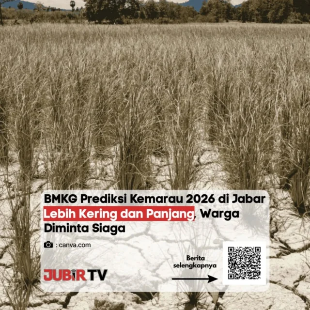 BMKG memprediksi musim kemarau 2026 di Jawa Barat akan datang lebih awal, lebih kering, dan berlangsung lebih panjang dari biasanya.

Sebagian besar wilayah diperkirakan mulai memasuki kemarau sejak Mei 2026, dengan puncak terjadi sekitar Agustus. Bahkan, mayoritas daerah berpotensi mengalami curah hujan di bawah normal dan durasi kemarau yang lebih lama. 

Kondisi ini membuat masyarakat diminta lebih siap, terutama dalam mengelola ketersediaan air dan mengantisipasi potensi kekeringan.

Menurut kamu, langkah apa yang paling penting untuk menghadapi kemarau panjang seperti ini?

📌 𝐈𝐧𝐟𝐨 𝐥𝐞𝐧𝐠𝐤𝐚𝐩𝐧𝐲𝐚 𝐜𝐞𝐤 𝐝𝐢 𝐬𝐭𝐨𝐫𝐲 & 𝐬𝐨𝐫𝐨𝐭𝐚𝐧

#jubirtv #jubirtvnewscom #jawabarat #kemarau #bmkg cuaca kekeringan waspada perubahaniklim beritaterkini