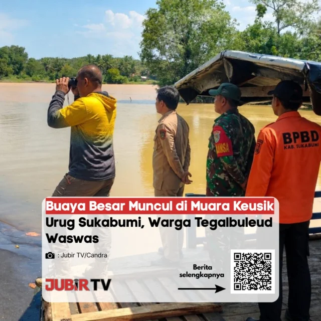Kemunculan buaya besar di Muara Keusik Urug, Tegalbuleud, Sukabumi membuat warga resah. Satwa tersebut beberapa kali terlihat di sekitar muara, bahkan diduga memangsa hewan peliharaan warga.

Aktivitas warga yang biasa mencari ikan kini terganggu, dan masyarakat diimbau untuk sementara menghindari area tersebut demi keselamatan. 

Menurut kamu, perlu penanganan cepat atau cukup dengan imbauan saja?

📌 𝐈𝐧𝐟𝐨 𝐥𝐞𝐧𝐠𝐤𝐚𝐩𝐧𝐲𝐚 𝐜𝐞𝐤 𝐝𝐢 𝐬𝐭𝐨𝐫𝐲 & 𝐬𝐨𝐫𝐨𝐭𝐚𝐧

#jubirtv #jubirtvnewscom #sukabumi #tegalbuleud #buaya #satwaliar #beritasukabumi #jawabarat