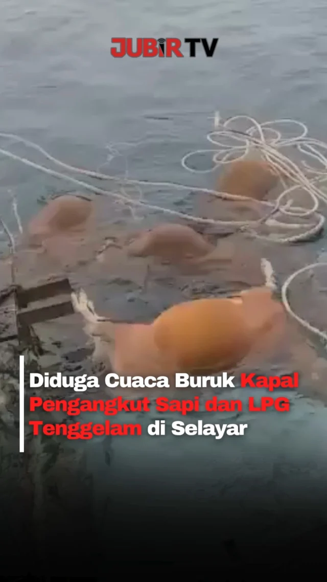 KM Bintang Kayuadi dilaporkan tenggelam saat berlabuh di Pelabuhan Kauwau, Kepulauan Selayar, Sulawesi Selatan.

Kapal tersebut membawa muatan kopra, ribuan tabung LPG, serta sapi untuk kebutuhan Iduladha. Polisi menduga kapal terbalik setelah tali tambat putus saat air laut surut dan cuaca buruk terjadi di kawasan pelabuhan.

Seluruh awak kapal selamat, sementara sebagian hewan ternak ditemukan mati dan lainnya masih dalam pencarian.

Sc: Berbagai Sumber
Editor: Tino

#jubirtv #jubirtvnewscom #kapaltenggelam #selayar #sulawesiselatan #viralindonesia #breakingnews #kapallaut #iduladha #beritaviral #fypindonesia #kmBintangKayuadi