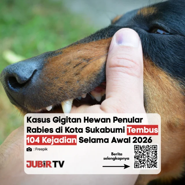 Waspada Rabies! Kasus Gigitan Hewan Penular Rabies di Sukabumi Dilaporkan Tembus 104 Kasus 🐾⚠️

Dinas Kesehatan Kabupaten Sukabumi mencatat lonjakan yang cukup signifikan terkait kasus gigitan Hewan Penular Rabies (HPR) seperti anjing, kucing, dan kera, yang kini angkanya telah menyentuh 104 kasus. Pemerintah mengimbau masyarakat untuk lebih waspada, terutama bagi pemilik hewan peliharaan agar segera memberikan vaksinasi rabies secara berkala demi keselamatan bersama.

Jika kalian atau kerabat mengalami gigitan hewan, segera cuci luka dengan sabun di bawah air mengalir dan langsung ke Puskesmas terdekat ya! Bagaimana kondisi populasi hewan liar di sekitar lingkungan rumah kalian saat ini? Yuk, saling mengingatkan di kolom komentar! 👇

📌 𝐈𝐧𝐟𝐨 𝐥𝐞𝐧𝐠𝐤𝐚𝐩𝐧𝐲𝐚 𝐜𝐞𝐤 𝐝𝐢 𝐬𝐭𝐨𝐫𝐲 & 𝐬𝐨𝐫𝐨𝐭𝐚𝐧

#jubirtv #jubirtvnewscom #waspadarabies #infokesehatan #sukabumi #beritasukabumi #kabupatensukabumi #dinkessukabumi #gigitanhewan #rabies #infosukabumi