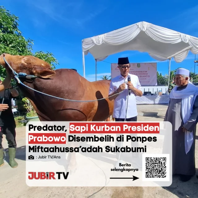 Sapi Kurban Presiden Prabowo Disembelih di Ponpes Miftaahussaadah 🐄🙏
Sapi kurban bantuan dari Presiden Prabowo Subianto telah disembelih di Pondok Pesantren Miftaahussaadah, Kabupaten Sukabumi, pada perayaan Idul Adha 1447 H hari ini. Penyerahan dan penyembelihan hewan kurban ini disambut penuh rasa syukur oleh pihak pesantren dan warga sekitar, sebagai wujud perhatian serta semangat berbagi di hari raya.

📌 𝐈𝐧𝐟𝐨 𝐥𝐞𝐧𝐠𝐤𝐚𝐩𝐧𝐲𝐚 𝐜𝐞𝐤 𝐝𝐢 𝐬𝐭𝐨𝐫𝐲 & 𝐬𝐨𝐫𝐨𝐭𝐚𝐧

#jubirtv #jubirtvnewscom #IdulAdha1447H #SapiPresiden #PrabowoSubianto #PonpesMiftaahussaadah #Sukabumi #Kurban #InfoSukabumi