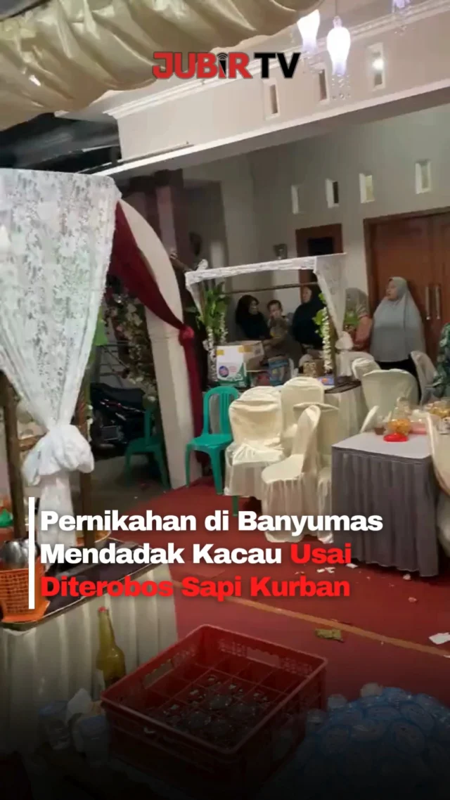 Momen tak terduga terjadi di sebuah pesta pernikahan di Desa Pasir Kulon, Kecamatan Karanglewas, Kabupaten Banyumas, Jawa Tengah, Selasa (26/5/2026) malam.

Seekor sapi kurban yang baru diturunkan dari kendaraan pengangkut tiba-tiba lepas kendali dan berlari ke area tenda resepsi yang saat itu dipenuhi tamu undangan.

Dalam video yang viral di media sosial, sapi tersebut terlihat menerobos area hajatan hingga membuat suasana mendadak panik. Sejumlah kursi, meja, dekorasi bunga, hingga perlengkapan acara dilaporkan rusak akibat tertabrak hewan tersebut.

Menurut informasi yang beredar, sapi diduga stres karena keramaian warga di sekitar lokasi. Beruntung, warga akhirnya berhasil mengamankan sapi tersebut sebelum situasi semakin kacau.

Meski sempat mengganggu jalannya acara dan menyebabkan kerusakan, tidak ada korban jiwa dalam insiden tersebut.

Sc: Berbagai Sumber
Editor: Tino

#jubirtv #jubirtvnewscom #sapikurban #banyumas #pernikahanviral #hajatan #iduladha2026 #videoviral #viralindonesia #jawatengah #beritaviral #fypindonesia