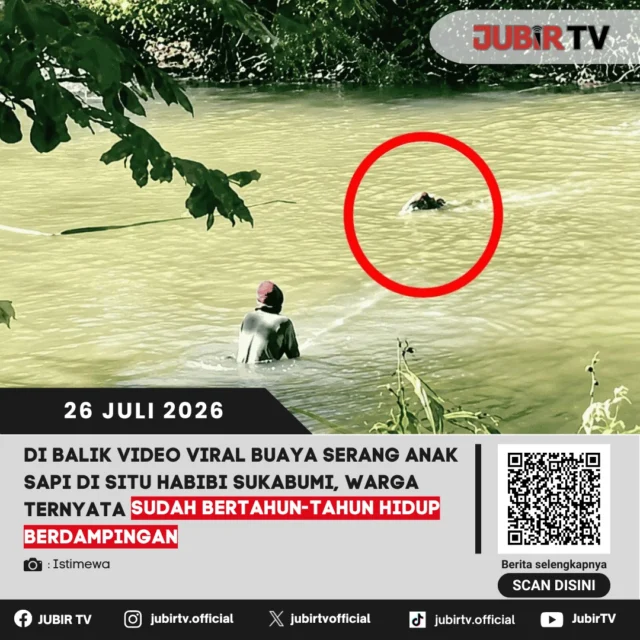 🐊 Video buaya yang menyerang anak sapi di Situ Habibi, Sukabumi, memang viral. Namun bagi warga sekitar, keberadaan predator tersebut bukan hal baru. Mereka sudah bertahun-tahun hidup berdampingan dengan buaya dan terus meningkatkan kewaspadaan saat beraktivitas di sekitar danau.

📌 𝐈𝐧𝐟𝐨 𝐥𝐞𝐧𝐠𝐤𝐚𝐩𝐧𝐲𝐚 𝐜𝐞𝐤 𝐝𝐢 𝐬𝐭𝐨𝐫𝐲 & 𝐬𝐨𝐫𝐨𝐭𝐚𝐧

#jubirtv #jubirtvnewscom #situhabibi #surade #kabupatensukabumi #buaya #satwaliar #beritasukabumi #wisatasukabumi #viral