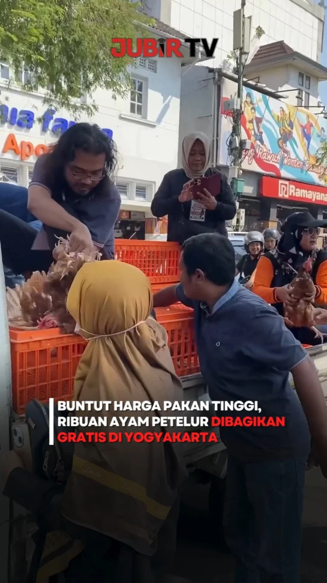 Ribuan ayam petelur dibagikan gratis kepada masyarakat di Yogyakarta, Senin (10/8/2026).

Aksi tersebut dilakukan Paguyuban Peternak Petelur Yogyakarta (P3Y) sebagai bentuk protes atas tingginya harga pakan di tengah penurunan harga jual hasil peternakan.

Peternak mengaku mengalami kerugian mulai dari jutaan hingga miliaran rupiah, tergantung skala usaha. Mereka pun membawa sejumlah tuntutan, mulai dari penurunan harga pakan hingga terciptanya harga telur yang lebih adil.

P3Y mengingatkan, jika kondisi ini terus berlanjut, keberlangsungan peternakan rakyat dan ketahanan pangan bisa ikut terdampak.

Sc: Berbagai Sumber
Editor: Tino

#jubirtv #jubirtvnewscom #yogyakarta #jogja #peternak #ayampetelur #hargapakan #hargatelur #peternakan #ketahananpangan #beritaterkini