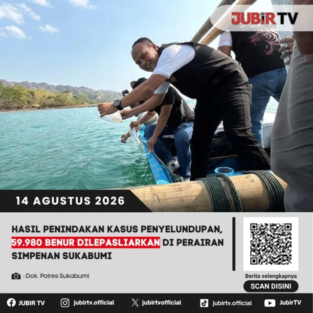 🐟 Hampir 60 ribu benur hasil penindakan penyelundupan dilepasliarkan di perairan Simpenan, Sukabumi.

Sebanyak 59.980 benur yang diamankan dari kasus penyelundupan akhirnya dilepasliarkan kembali ke habitatnya. Langkah ini dilakukan untuk menjaga keberlangsungan sumber daya perikanan dan ekosistem laut.

Bagaimana proses pelepasliarannya?

📌 𝐈𝐧𝐟𝐨 𝐥𝐞𝐧𝐠𝐤𝐚𝐩𝐧𝐲𝐚 𝐜𝐞𝐤 𝐝𝐢 𝐬𝐭𝐨𝐫𝐲 & 𝐬𝐨𝐫𝐨𝐭𝐚𝐧

#jubirtv #jubirtvnewscom #simpenan #sukabumi #benur #penyelundupan #perikanan #konservasi #ekosistemlaut #sukabumiselatan #beritasukabumi