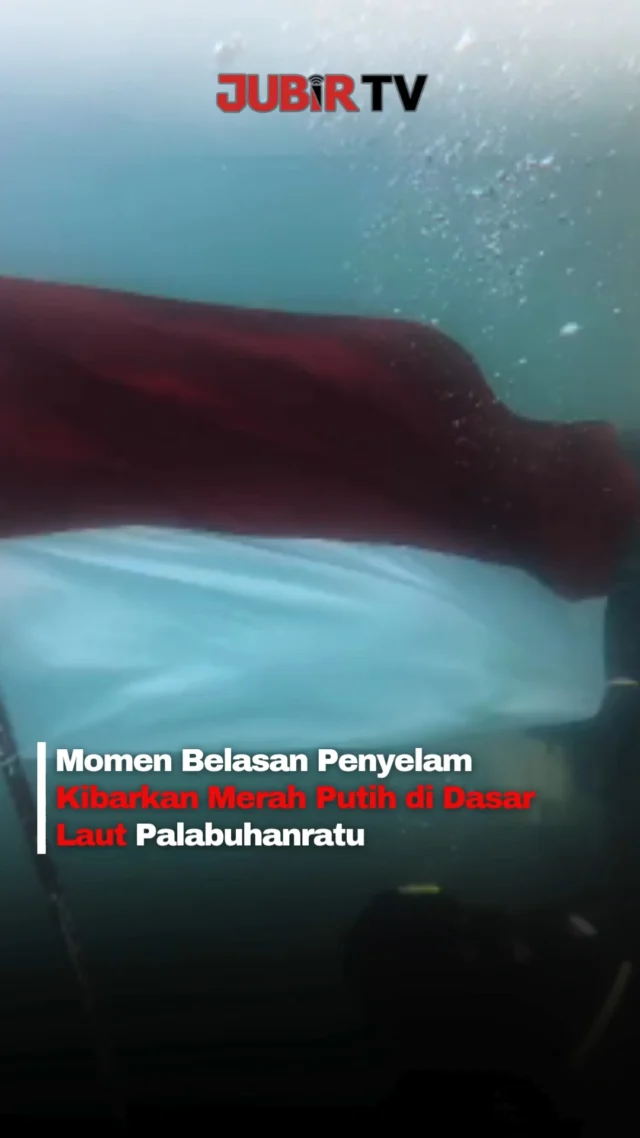 Bukan di lapangan, kali ini Merah Putih berkibar di dasar laut Teluk Palabuhanratu, Sukabumi. 🇮🇩🌊

Sedikitnya sembilan penyelam dari Komunitas Penggiat Konservasi Penyelam Sukabumi (PENYU) bersama Bandung Scuba Center mengibarkan bendera di kedalaman sekitar 7 meter, Senin (17/8/2026).

Aksi tersebut digelar untuk memperingati HUT ke-81 Kemerdekaan RI. Prosesi juga melibatkan dua pelajar sebagai bagian dari upaya mengenalkan dunia penyelaman dan kepedulian terhadap lingkungan laut.

Editor: Tino

#jubirtv #jubirtvnewscom #sukabumi #palabuhanratu #hutri81 #hutkemerdekaan #17agustus #merahputih #penyelam #bawahlaut #indonesia