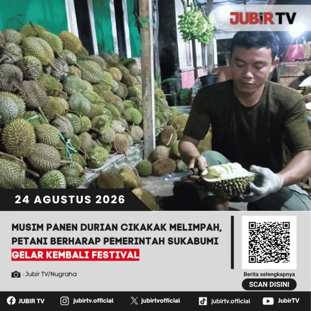 🍈 Musim panen durian Cikakak melimpah, petani berharap festival kembali digelar.

Melimpahnya hasil panen durian di Cikakak menjadi harapan bagi para petani agar pemerintah kembali menggelar festival durian untuk membantu promosi dan mengenalkan potensi durian lokal Sukabumi.

Seperti apa harapan para petani?

📌 𝐈𝐧𝐟𝐨 𝐥𝐞𝐧𝐠𝐤𝐚𝐩𝐧𝐲𝐚 𝐜𝐞𝐤 𝐝𝐢 𝐬𝐭𝐨𝐫𝐲 & 𝐬𝐨𝐫𝐨𝐭𝐚𝐧

#jubirtv #jubirtvnewscom #cikakak #sukabumi #durian #duriancikakak #panendurian #petanisukabumi #wisatakuliner #beritasukabumi