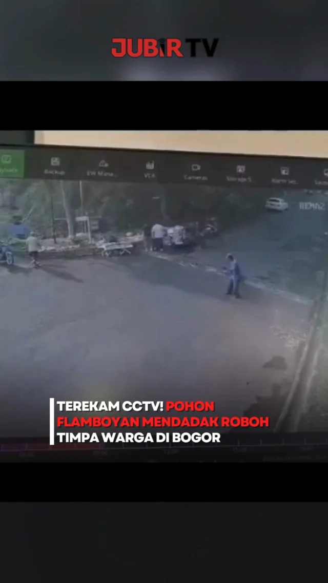 Mendadak roboh saat warga beraktivitas pagi! Pohon flamboyan setinggi sekitar 40 meter tumbang di kawasan Villa Duta, Baranangsiang, Kota Bogor, Senin (28/9/2026).

Empat orang menjadi korban dan telah mendapat penanganan medis. Dua korban diperbolehkan pulang, sementara dua lainnya masih menjalani perawatan di RS Mayapada akibat luka di kepala dan tangan.

Pohon tumbang juga merusak dua sepeda motor, lapak pedagang sayur, serta kabel listrik, dan sempat menutup akses jalan raya.

Tim gabungan kemudian melakukan evakuasi selama sekitar dua jam hingga kondisi jalan kembali kondusif. Petugas masih melakukan pendataan terkait kejadian tersebut.

Sc: Berbagai Sumber
Editor: Tino

#jubirtv #jubirtvnewscom #pohontumbang #bogor #kotabogor #baranangsiang #villaduta #kejadian #beritaterkini #infobogor