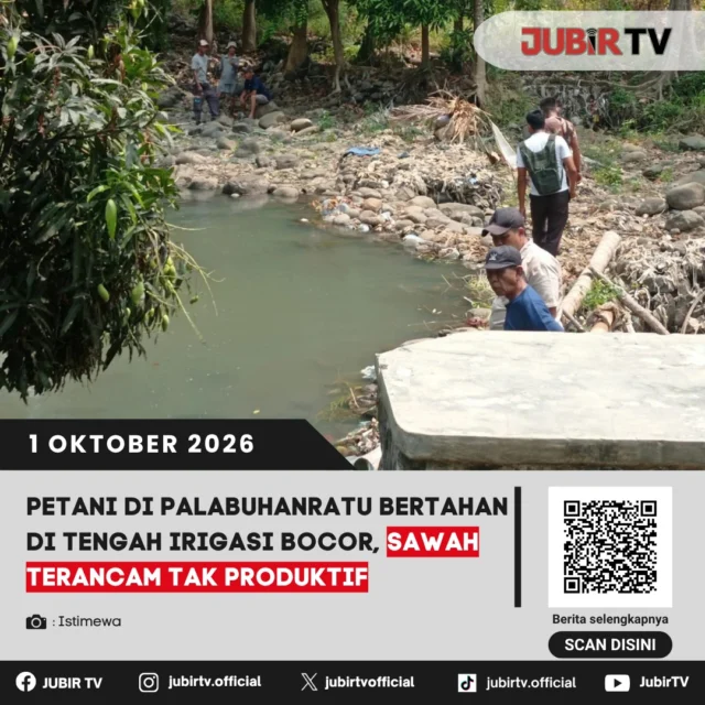 🌾 Irigasi Bocor, Petani Palabuhanratu Sukabumi Khawatir Sawah Tak Lagi Produktif

Petani di Citepus, Palabuhanratu, Sukabumi, menghadapi kesulitan air akibat kebocoran di sejumlah titik saluran DI Citepus. Kondisi yang berlangsung sekitar empat bulan ini berdampak pada hampir 50 hektare lahan pertanian.

Petani sudah berupaya melakukan perbaikan secara swadaya, namun kerusakan sekitar 30 persen pada saluran membuat pasokan air ke sawah belum optimal. Perbaikan dan rehabilitasi kini diusulkan untuk mengatasi persoalan tersebut.

Seperti apa kondisi irigasi dan perjuangan petani mempertahankan sawahnya?

📌 𝐈𝐧𝐟𝐨 𝐥𝐞𝐧𝐠𝐤𝐚𝐩𝐧𝐲𝐚 𝐜𝐞𝐤 𝐝𝐢 𝐬𝐭𝐨𝐫𝐲 & 𝐬𝐨𝐫𝐨𝐭𝐚𝐧

#jubirtv #jubirtvnewscom #palabuhanratu #sukabumi #petani #irigasi #sawah #pertanian #citepus