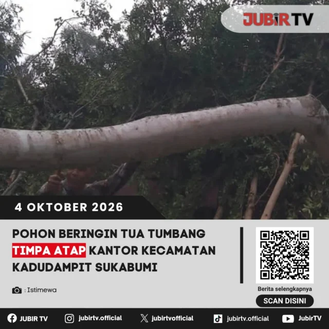 Sebuah pohon beringin yang tumbuh di halaman Kantor Kecamatan Kadudampit, Kabupaten Sukabumi, tumbang pada Sabtu (3/10/2026) sekitar pukul 15.10 WIB. Pohon tersebut menimpa bagian atap kantor hingga mengalami kerusakan.

Camat Kadudampit Encep Irwan Kartawiria mengatakan, pohon beringin tersebut tumbang saat kondisi di sekitar kantor diterpa angin. Saat kejadian, wilayah Kadudampit tidak sedang diguyur hujan.

Selain itu, kondisi pohon yang sudah berusia hampir empat dekade dinilai menjadi pemicu utama kerapuhan akar hingga akhirnya tumbang.

“Memang pohon sudah tuanya, hampir 40 tahun lah gitu. Mungkin tadi akibat angin,” ujarnya.

📌 𝐈𝐧𝐟𝐨 𝐥𝐞𝐧𝐠𝐤𝐚𝐩𝐧𝐲𝐚 𝐜𝐞𝐤 𝐝𝐢 𝐬𝐭𝐨𝐫𝐲 & 𝐬𝐨𝐫𝐨𝐭𝐚𝐧
#jubirtv #jubirtvnewscom #pohontumbang #timpakantorkecamatan #kecamatankadudampit #pohonberingin